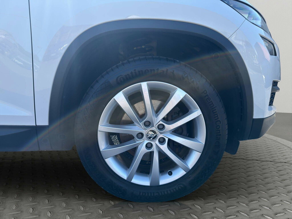 Skoda Kodiaq  Grey #49