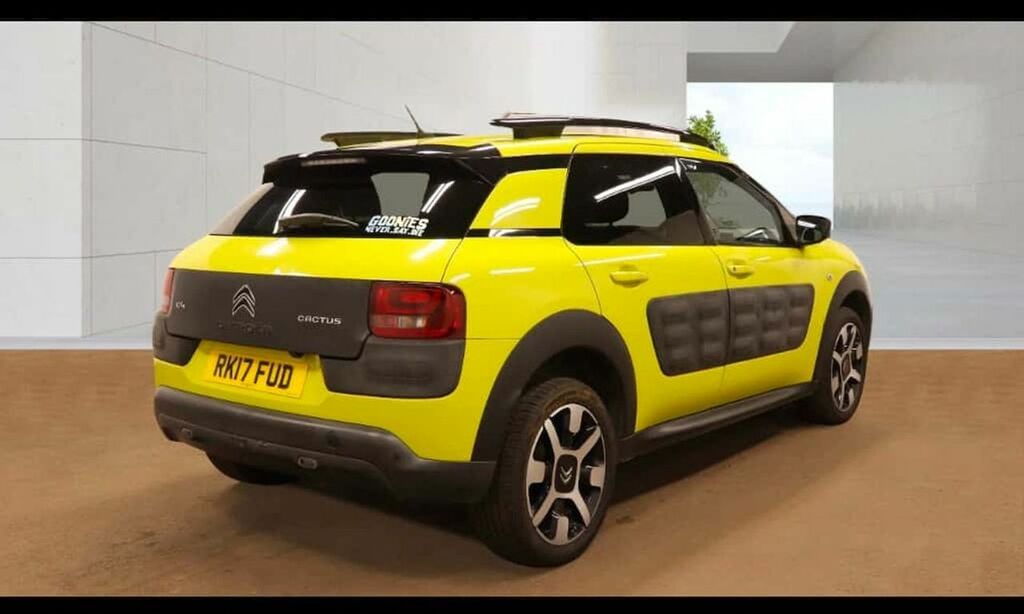 Citroen C4 Cactus Puretech Flair 2 Owners,sat Nav Fcsh Yellow #2