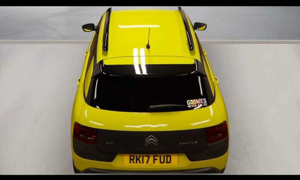Citroen C4 Cactus Puretech Flair 2 Owners,sat Nav Fcsh Yellow #5