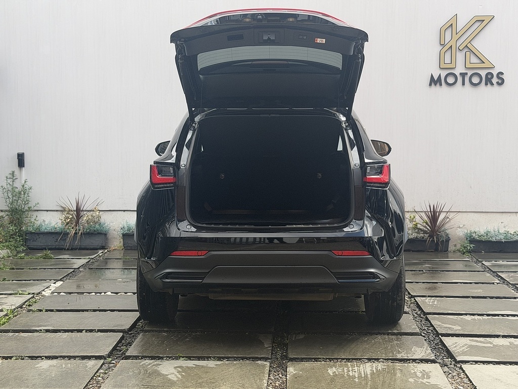 Lexus NX 350H 2.5 Takumi E-cvt Pan Roof #14