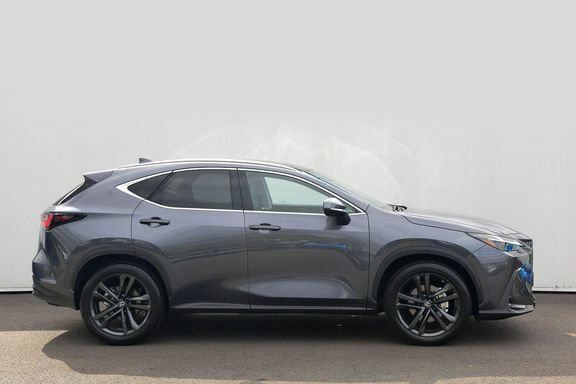 Lexus NX 350H Premium Plus Pan Grey #5