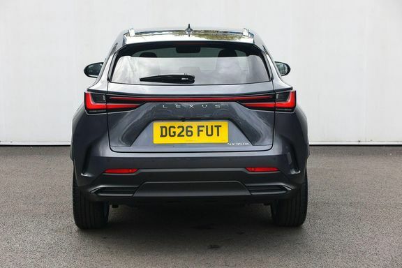 Lexus NX 350H Premium Plus Pan Grey #4