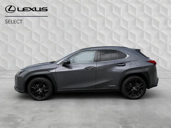Lexus UX Premium Sport Edition Grey #6