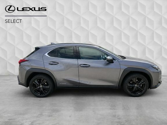 Lexus UX Premium Sport Edition Grey #2