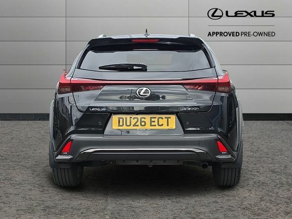 Lexus UX F Sport Design Tech Black #5