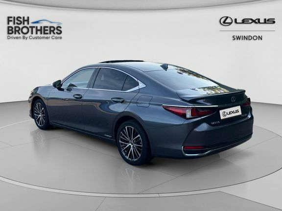 Lexus ES Es Premium Edition Grey #2