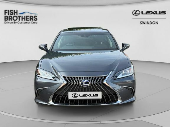 Lexus ES Es Premium Edition Grey #4