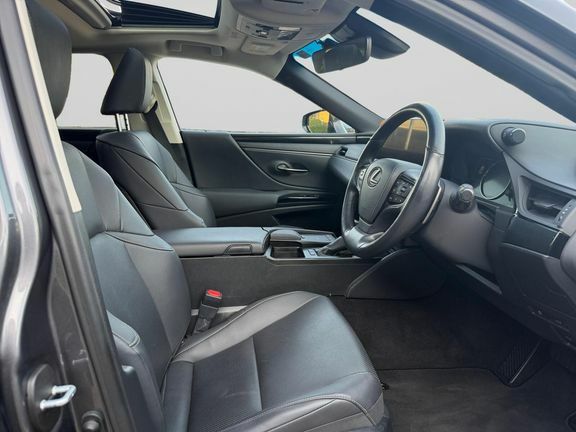Lexus ES Es Premium Edition Grey #6