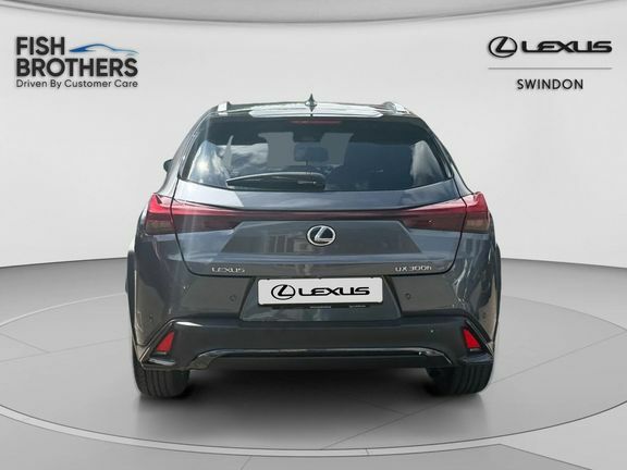 Lexus UX F Sport Design Grey #5