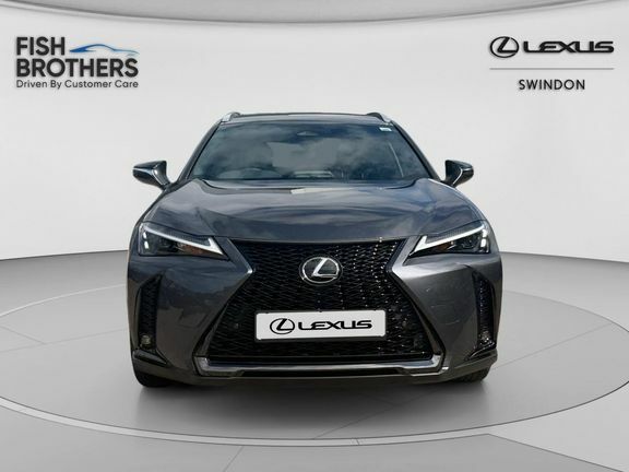 Lexus UX F Sport Design Grey #4