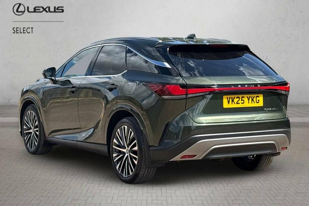 Lexus RX 450H 2.5 E-cvt Premium Packpan Roof Green #4