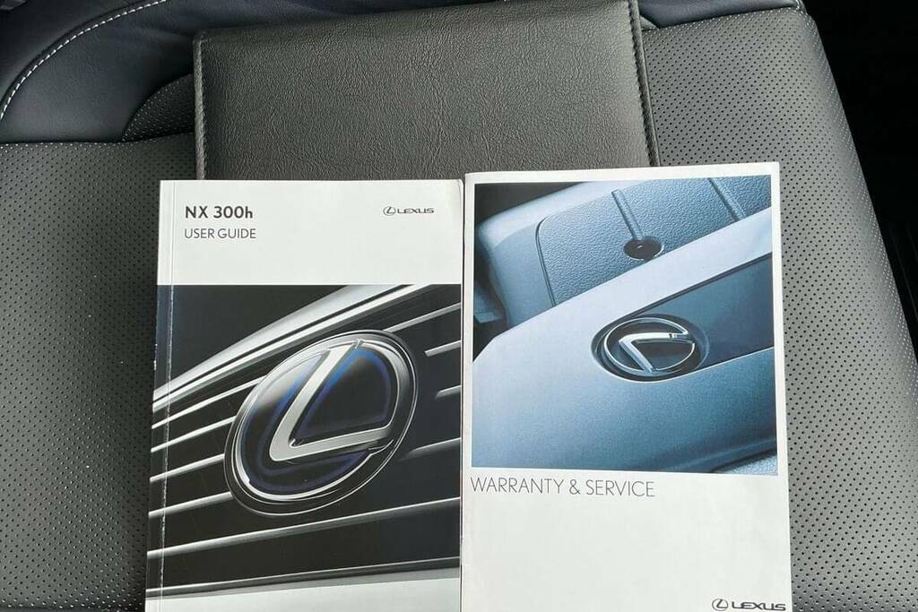 Lexus NX 300H 2.5 Premier Cvt Pan Roof Silver #27