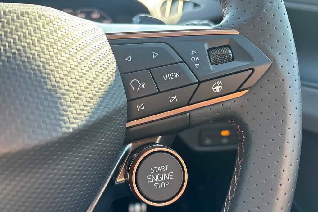 Cupra Terramar 1.5 Etsi V2 Suv Hybrid Dsg Euro 6 Ss Grey #17