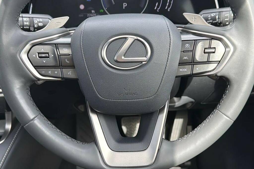 Lexus RX 2.5 18.1Kwh Takumi E-cvt 4Wd Euro 6 Ss Grey #9