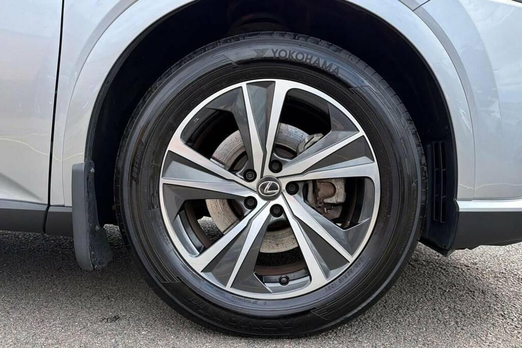 Lexus RX 2.5 18.1Kwh Takumi E-cvt 4Wd Euro 6 Ss Grey #24