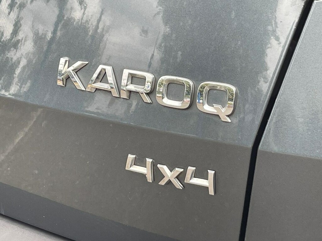 Skoda Karoq Karoq Se Technology Tdi Scr 4X4 Grey #35