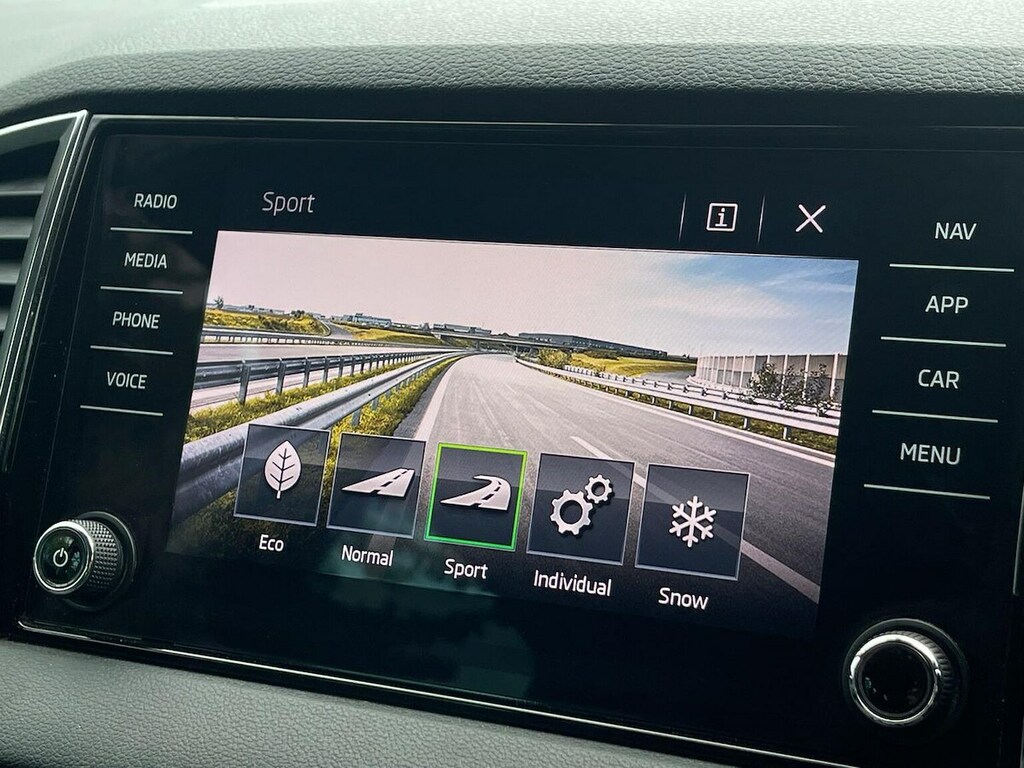Skoda Karoq Karoq Se Technology Tdi Scr 4X4 Grey #41