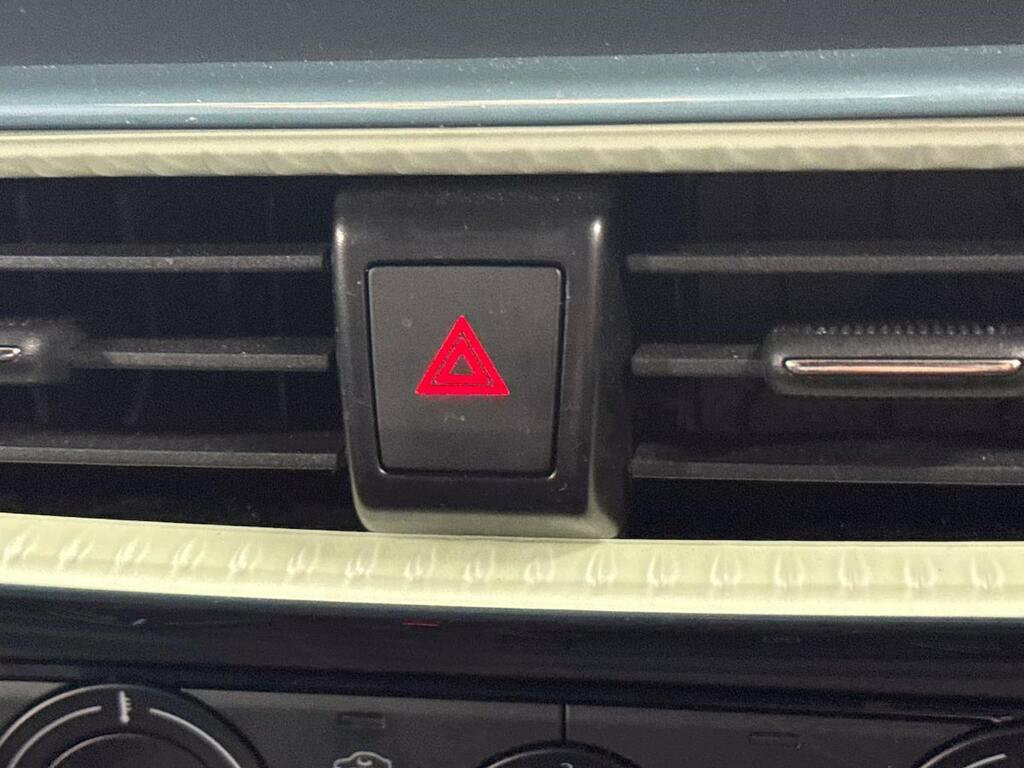 Seat Ibiza 1.0 Tsi 115 Fr First Edition Dsg Delivery Black #22