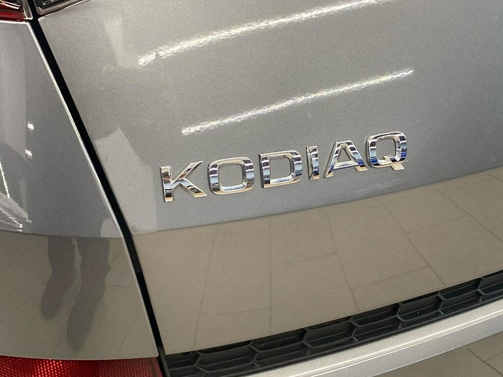 Skoda Kodiaq Kodiaq Se Drive Tsi Blue #32