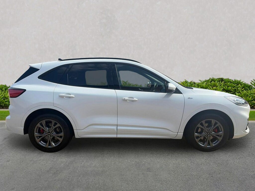 Ford Kuga 2.0 Ecoblue Mhev St-line Edition Suv Ma White #3