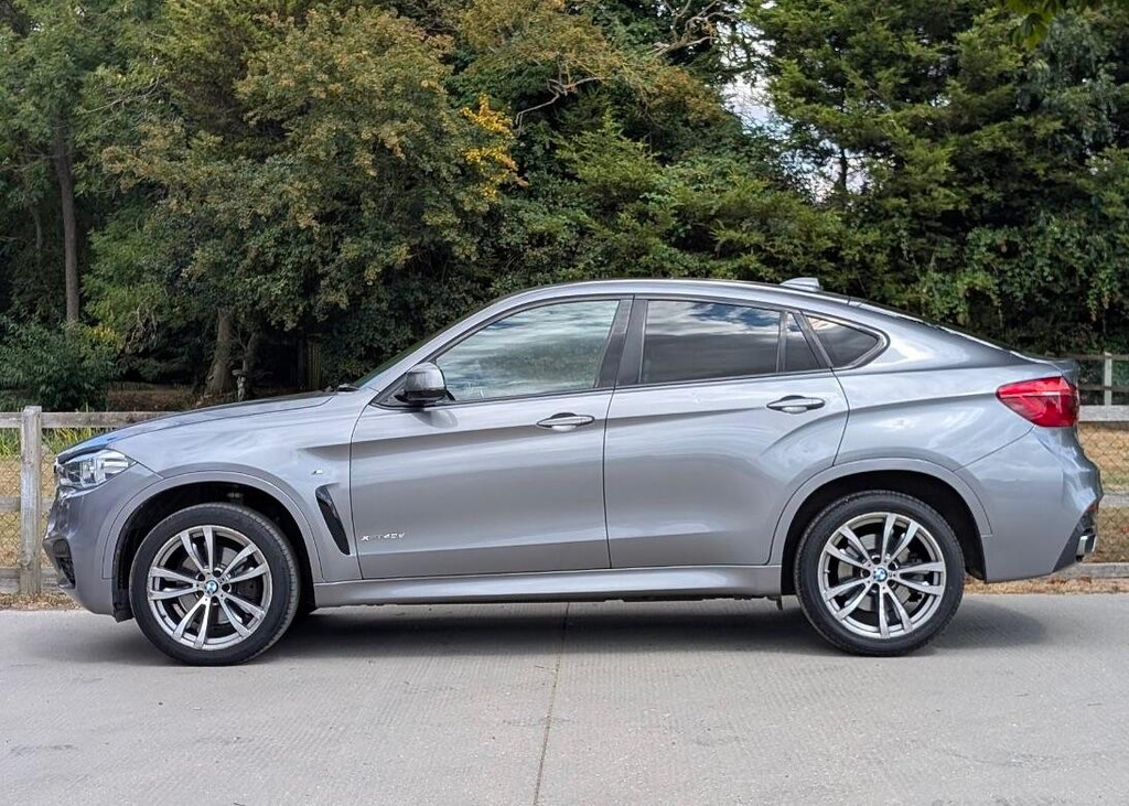 BMW X6 3.0 40D M Sport Xdrive Euro 6 Ss  #5