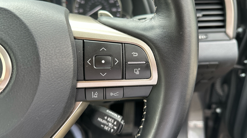 Lexus RX Rx 450H F Sport Cvt Silver #22
