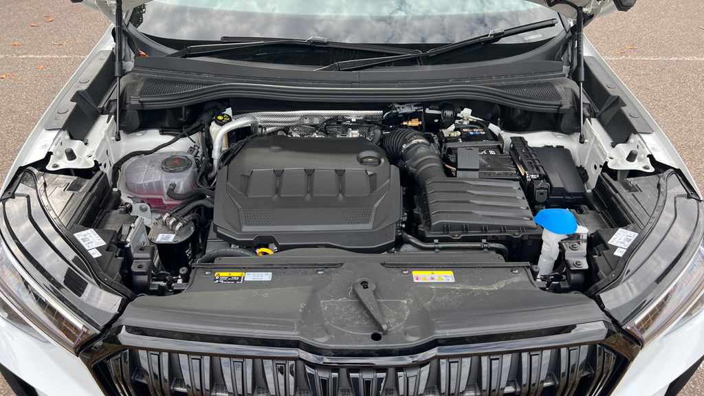 Skoda Kodiaq 2.0 Tdi Se Dsg 7 Seat Black #17