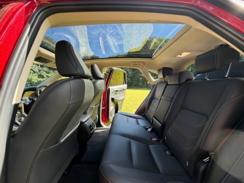 Lexus NX 2.5 300H F Sport E-cvt 4Wd Euro 6 Ss Red #13