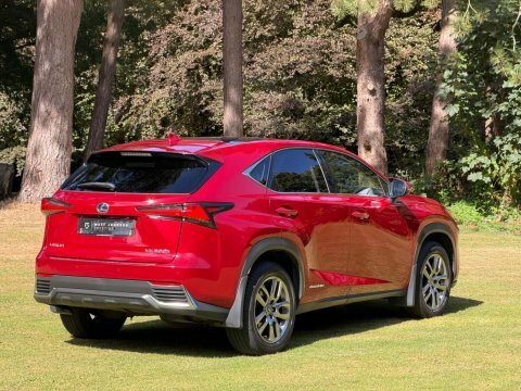 Lexus NX 2.5 300H F Sport E-cvt 4Wd Euro 6 Ss Red #19