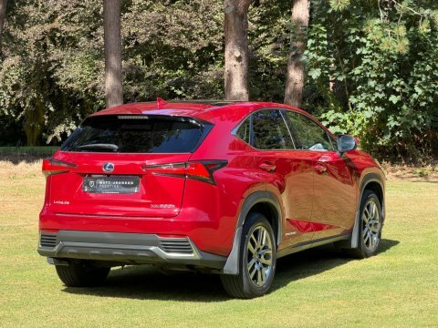 Lexus NX 2.5 300H F Sport E-cvt 4Wd Euro 6 Ss Red #24