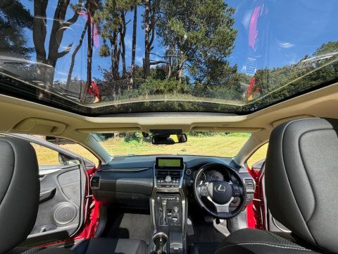 Lexus NX Luxury Red #3