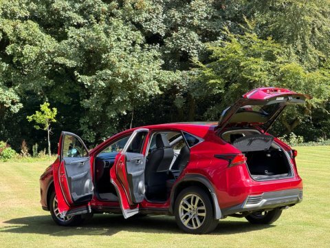 Lexus NX Luxury Red #4
