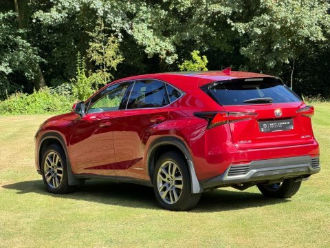 Lexus NX Luxury Red #6