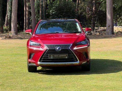 Lexus NX Luxury Red #5