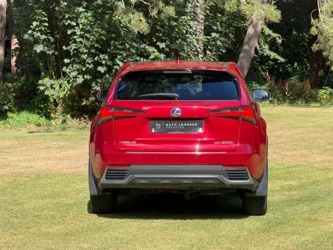 Lexus NX 2.5 300H F Sport E-cvt 4Wd Euro 6 Ss Red #14