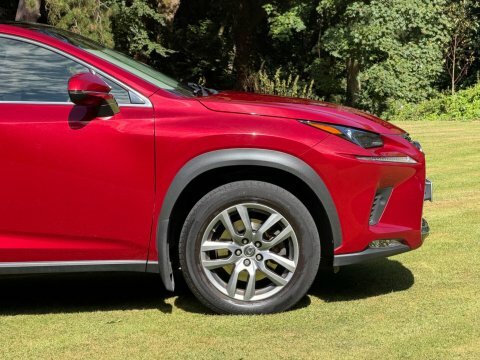Lexus NX 2.5 300H F Sport E-cvt 4Wd Euro 6 Ss Red #11