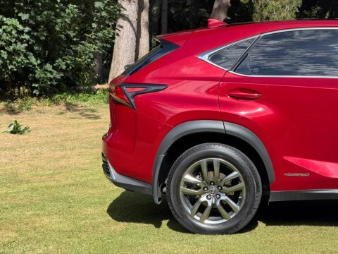 Lexus NX 2.5 300H F Sport E-cvt 4Wd Euro 6 Ss Red #15