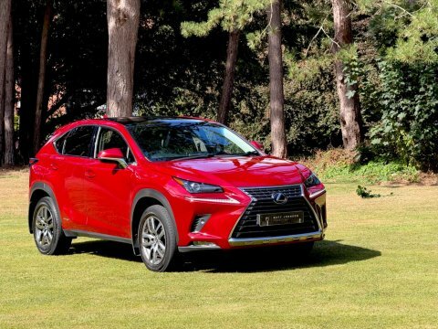 Lexus NX Luxury Red