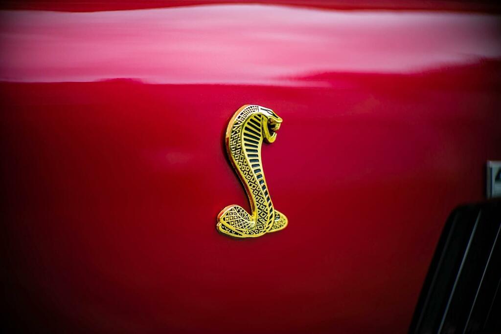 AC Cobra Mk IV #6