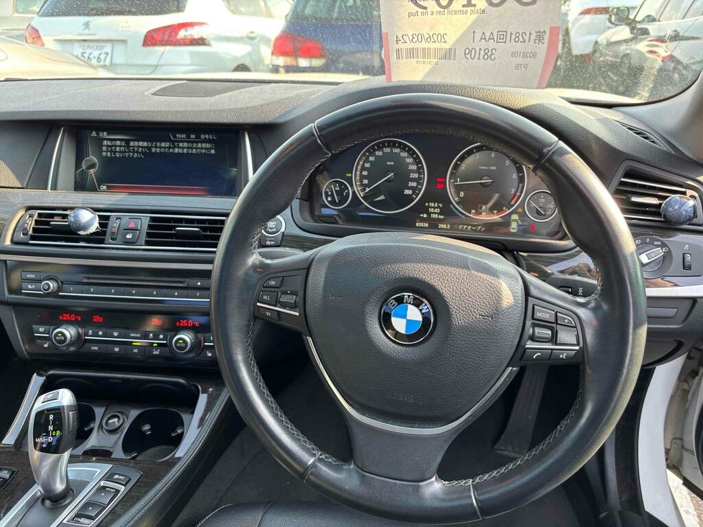 BMW 5 Series Luxury White #2