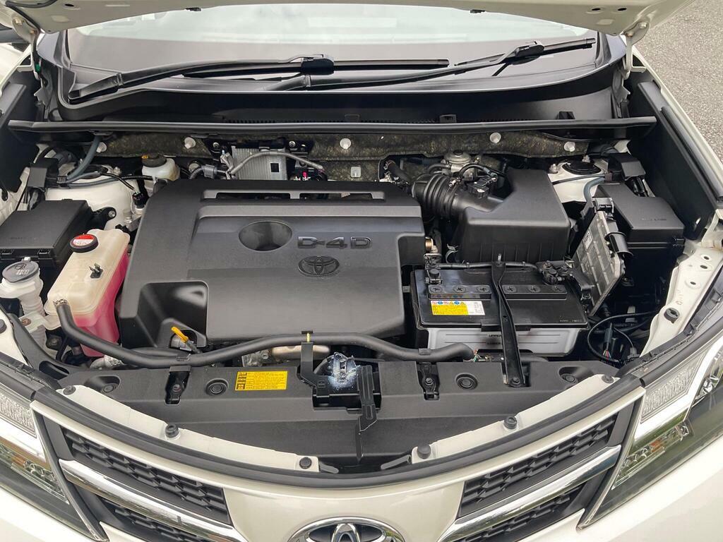 Toyota Rav 4 2.0 D-4d Icon 4Wd Euro 5 Ss Grey #14