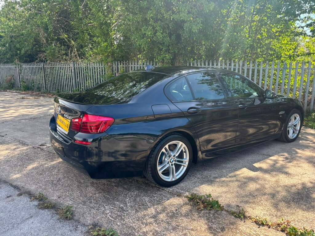 BMW 5 Series 2.0 520D Luxury Touring Euro 6 Ss Blue #9