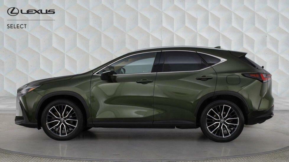 Lexus NX 450H 2.5 Takumi E-cvt Sunroof Green #4