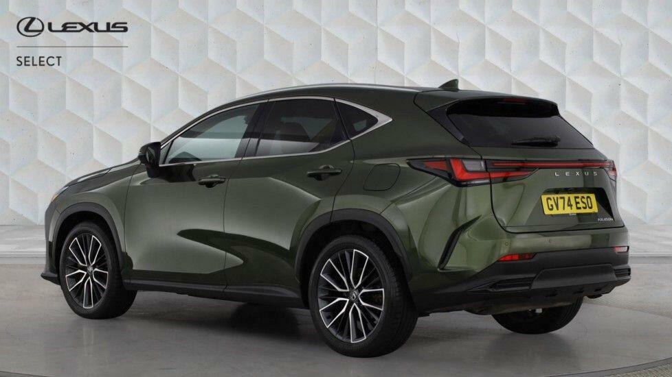 Lexus NX 450H 2.5 Takumi E-cvt Sunroof Green #3