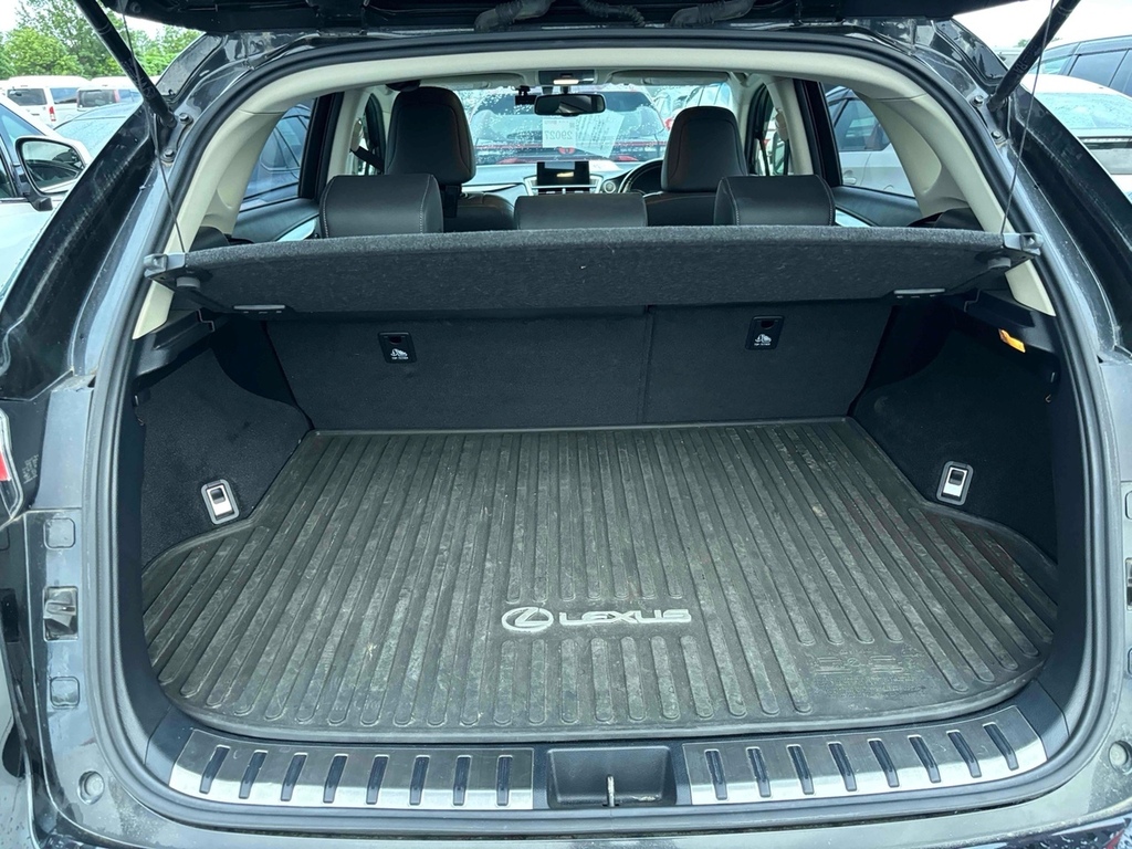 Lexus NX 300H 2.5 F-sport Cvt Pan Roofprem Nav White #9