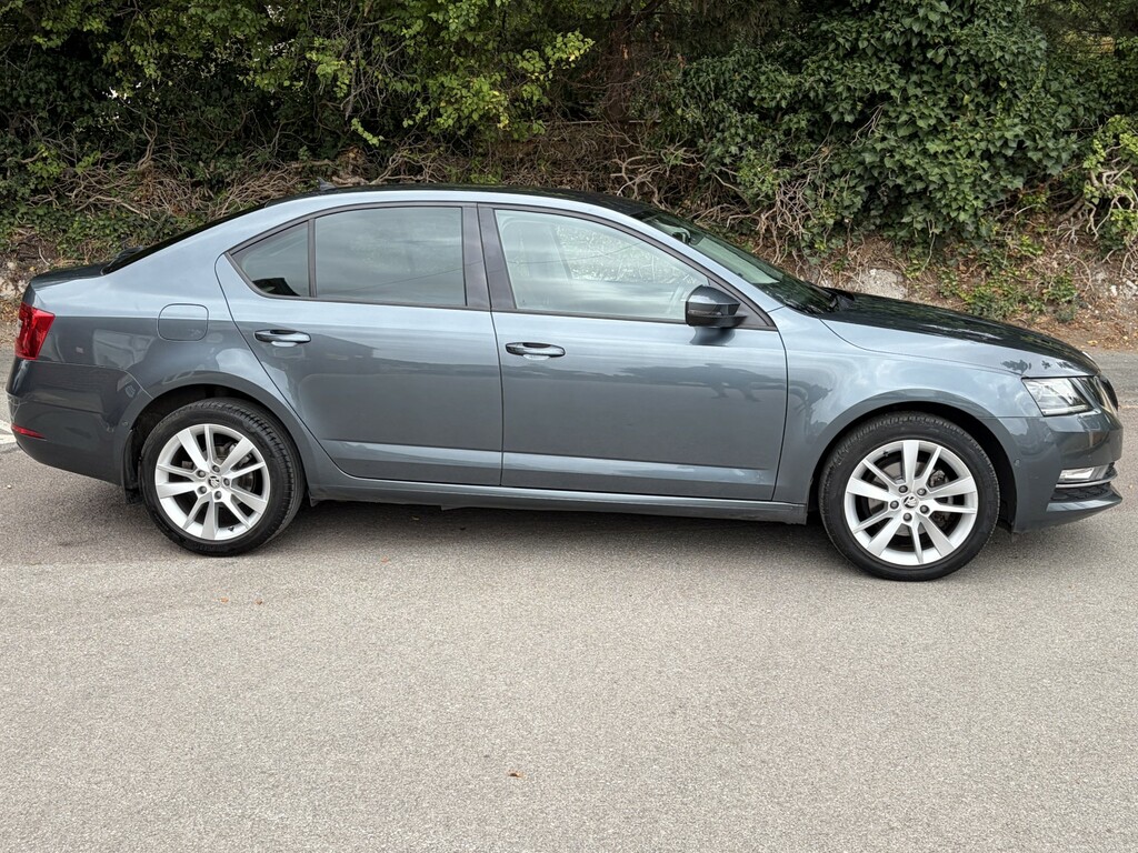 Skoda Octavia 1.4 Tsi Se L 201818 Grey #4