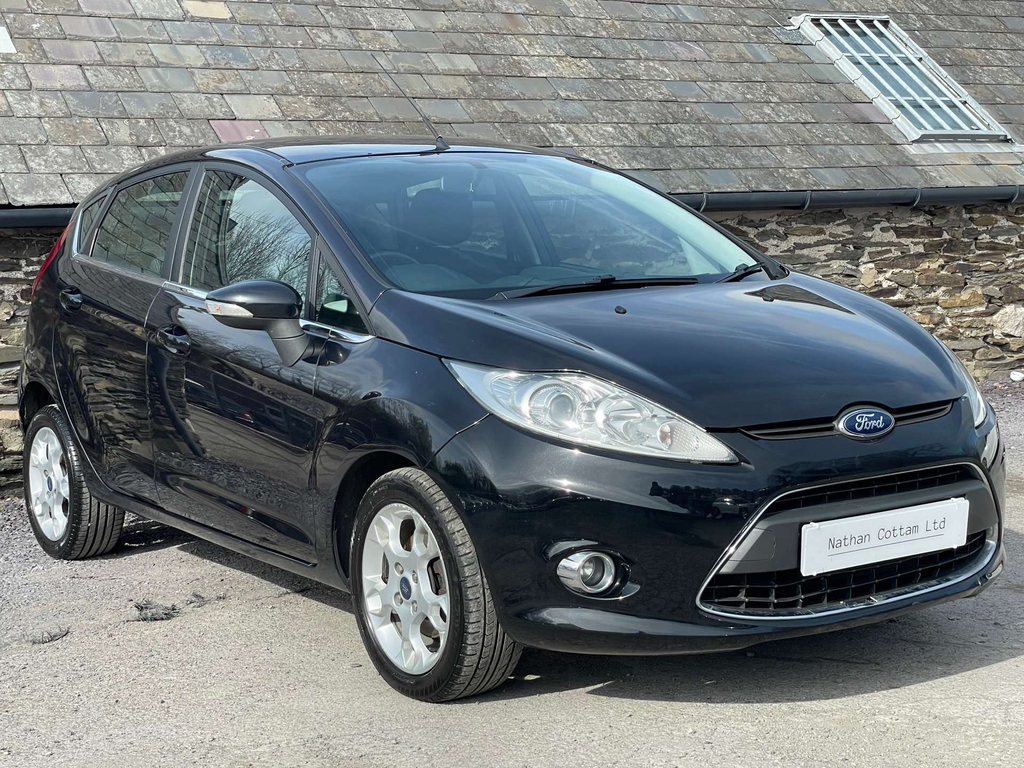 Ford Fiesta Zetec #6