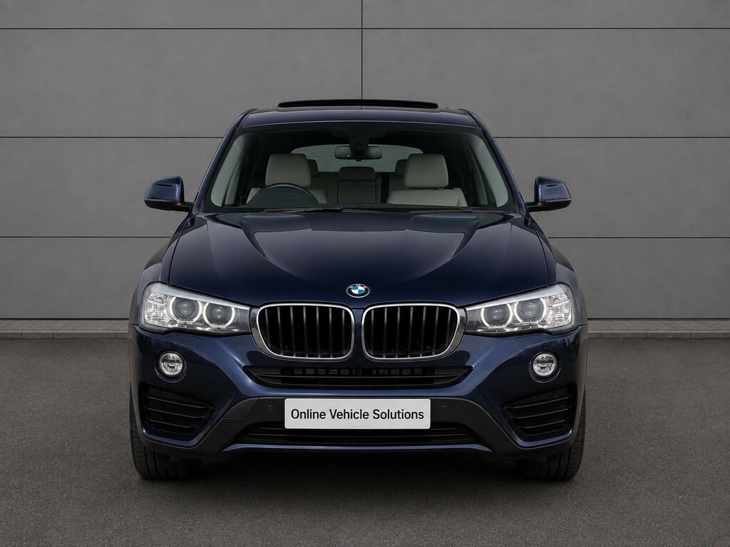 BMW X4 2.0 X4 Xdrive20d Se Blue #5