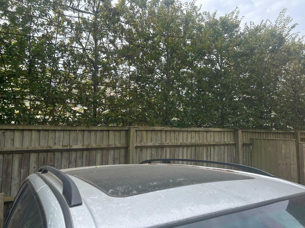 BMW X5 3.0D Sport 4Wd Euro 4 Silver #3