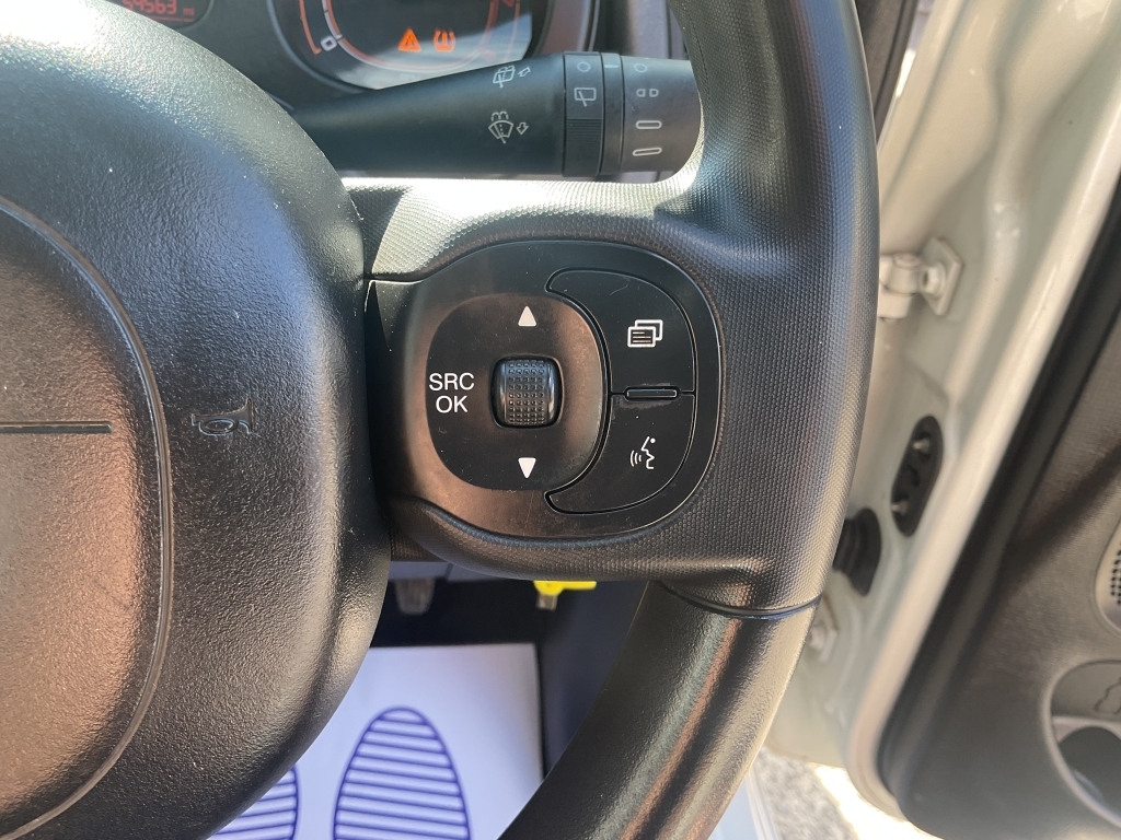 Fiat Panda 1.2 City Cross Green #14